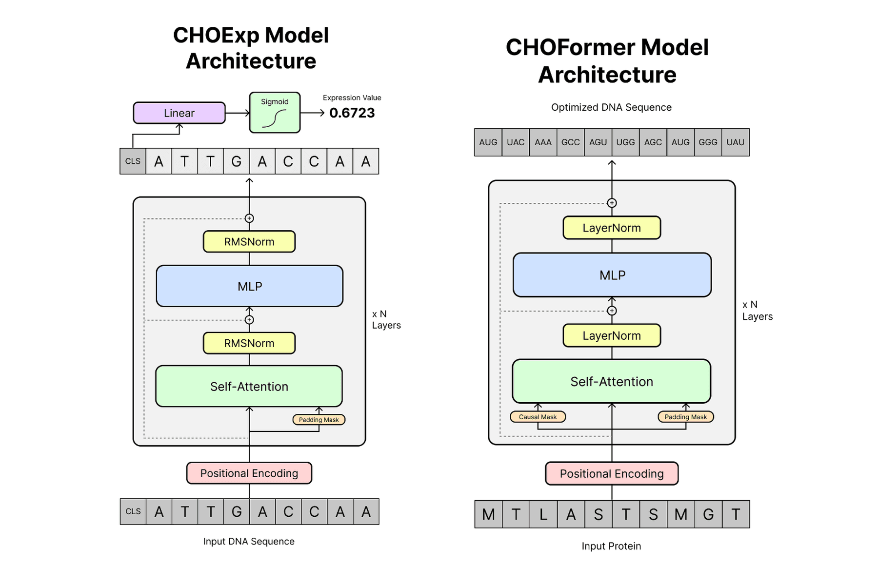 Architecture diagrams of the two models: CHOExp, an encoder-only transformer mapping a DNA sequence to an expression value, and CHOFormer, a decoder that maps a protein sequence to an optimized DNA sequence